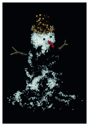 Weihnachtspostkarten-Set „Fotokunst trifft Weihnachten“ SALTY
